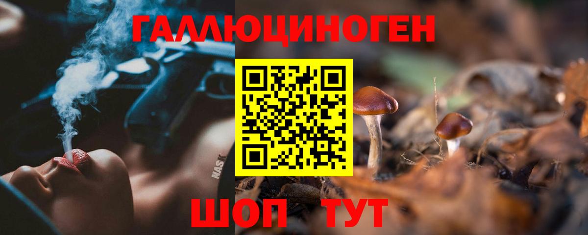 Псилоцибиновые грибы Psilocybine cubensis Минеральные Воды